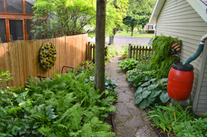 Shady side yard with two living walls