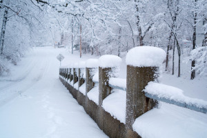 A walk in snow