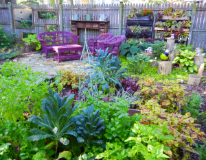 Back garden with two living walls