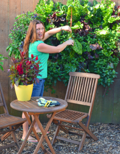 Living wall with food and table