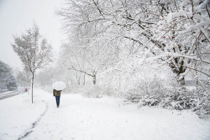 A walk in snow is good for your health