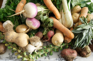 winter fall vegetables 