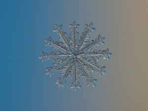 Snowflake - Alexey Kljatov (ChaoticMind75) flickr