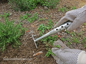 dig weeds with troybilt trough copy