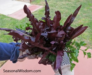 salad in a hand copy