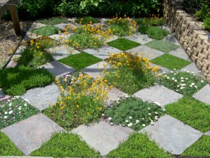 checkerboard garden design