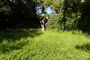 man in overgrown backyard