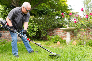 brush cutter near a fountain and roses