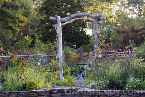 Cocktail hour garden in veggie garden
