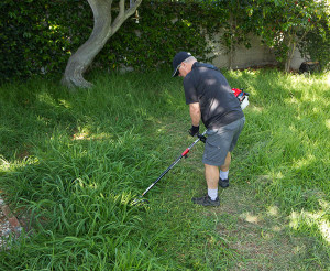 brush cutter makes a path through grass