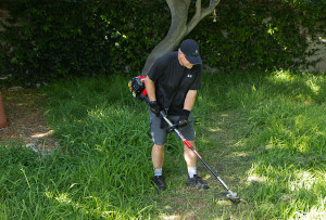 man with troy-bilt brush cutter