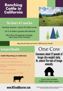 cattle ranching-final