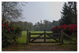 martijndevalk.nl gate