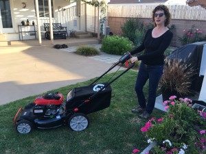 lady and troy bilt lawn mower