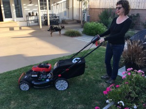 woman with dog and lawn mower