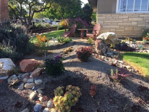 drought tolerant california garden