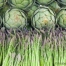 Thumbnail image for Seven Spring Vegetables to Eat Now