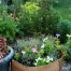Thumbnail image for Growing Great Flower Containers