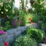 Thumbnail image for Creating a Cottage Garden