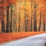 Thumbnail image for Fall Feng Shui Advice for Your Home